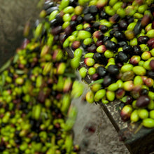 Load image into Gallery viewer, Organic monocultivar Biancolilla extra virgin olive oil - OL677