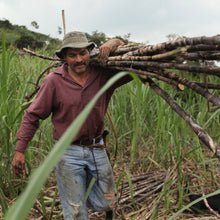Load image into Gallery viewer, Organic raw cane sugar - ZU500