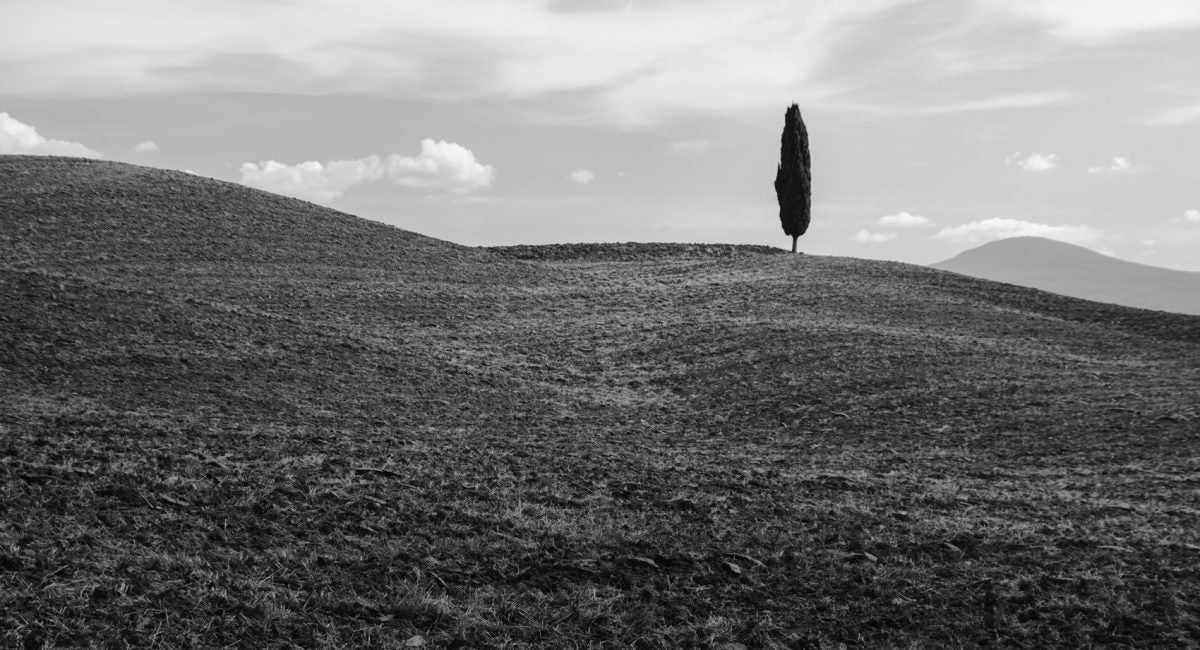 Living alone doesn’t mean being lonely, particularly in times of quarantine.