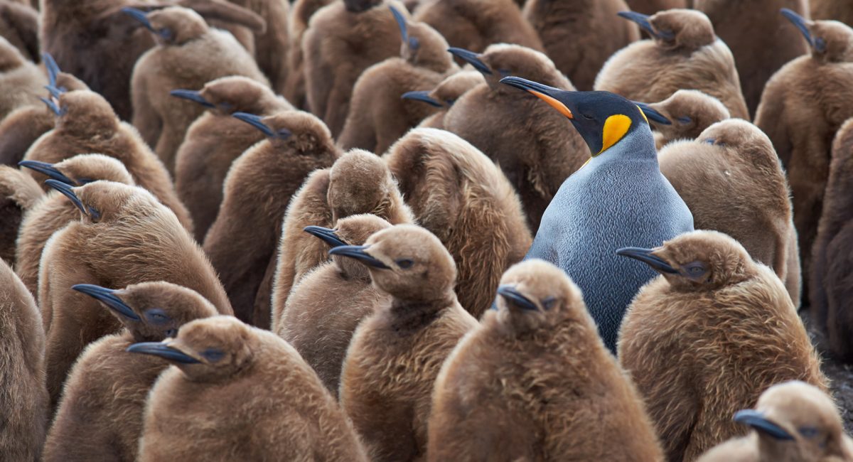 Why authenticity is of interest to us, also online