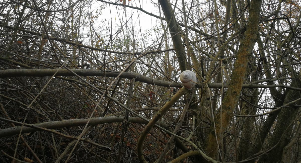 Sometimes we need to tell ourselves that it’s time to change course or even go back