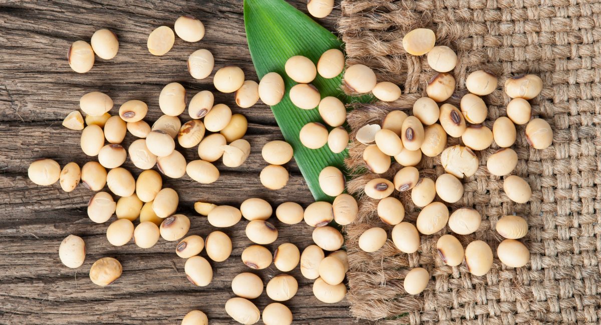 Soya and thyroid function