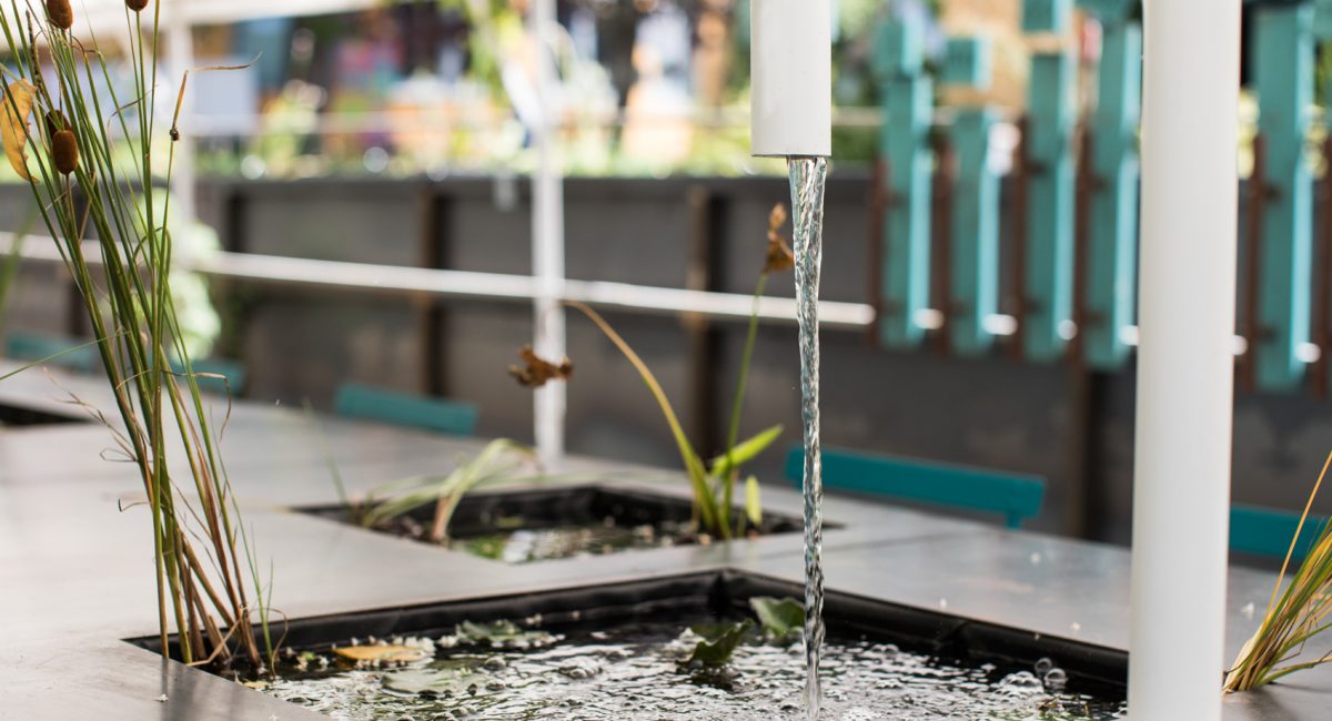 Organic and economy, environmental and urban sustainability