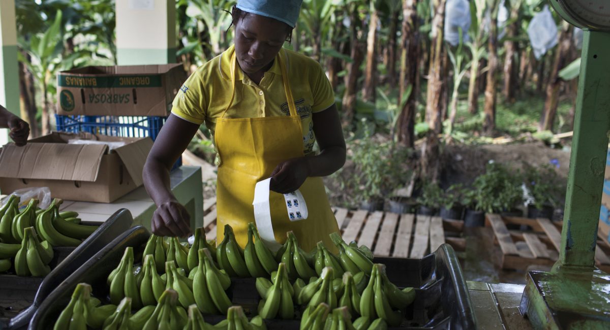 Low cost? It is the weakest who pay