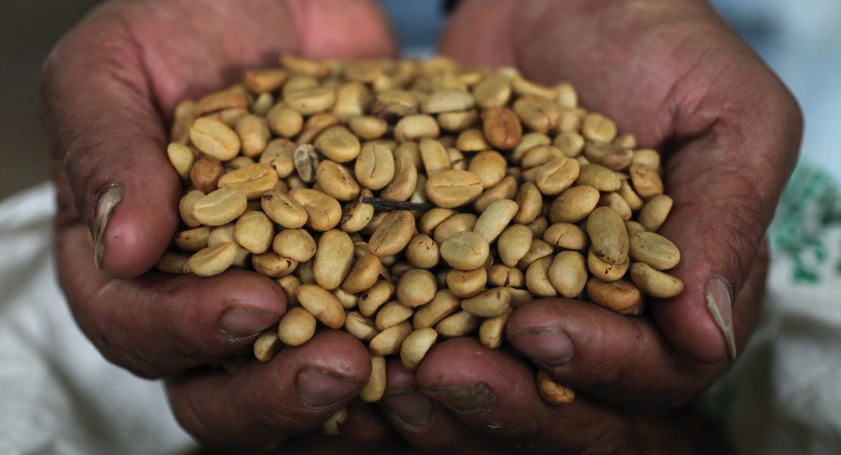 Fair trade: what’s behind a price