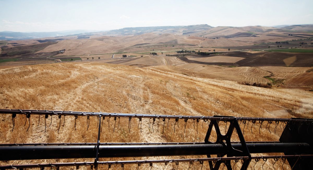 The G7 agenda was set by a Tanzanian farmer and mother of five