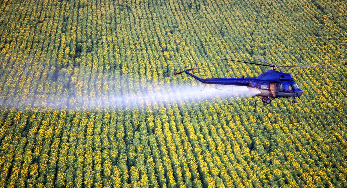 Glyphosate. The gun is already smoking