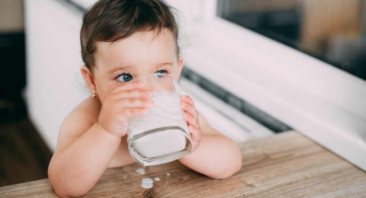 Cow’s milk: what are the risks of heightened consumption