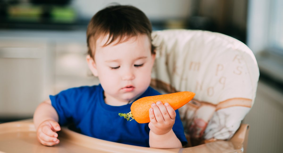 Vegan and vegetarian weaning