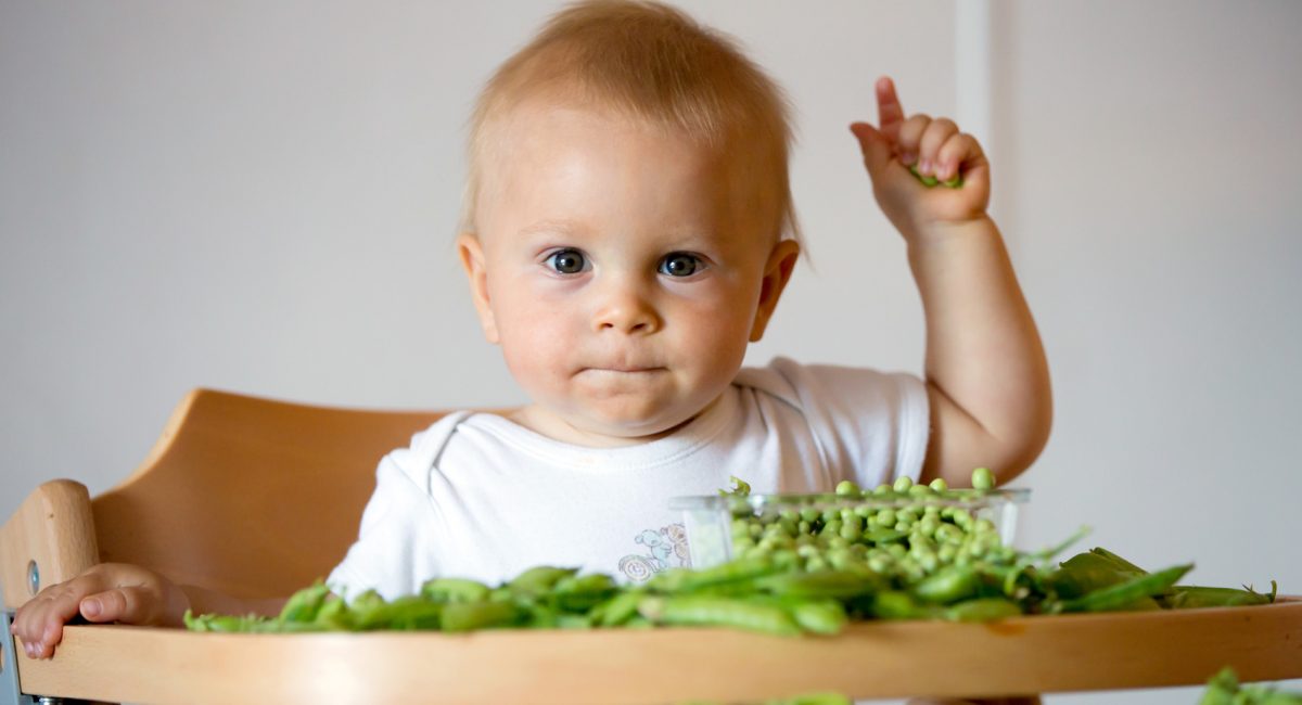 Protein and weaning