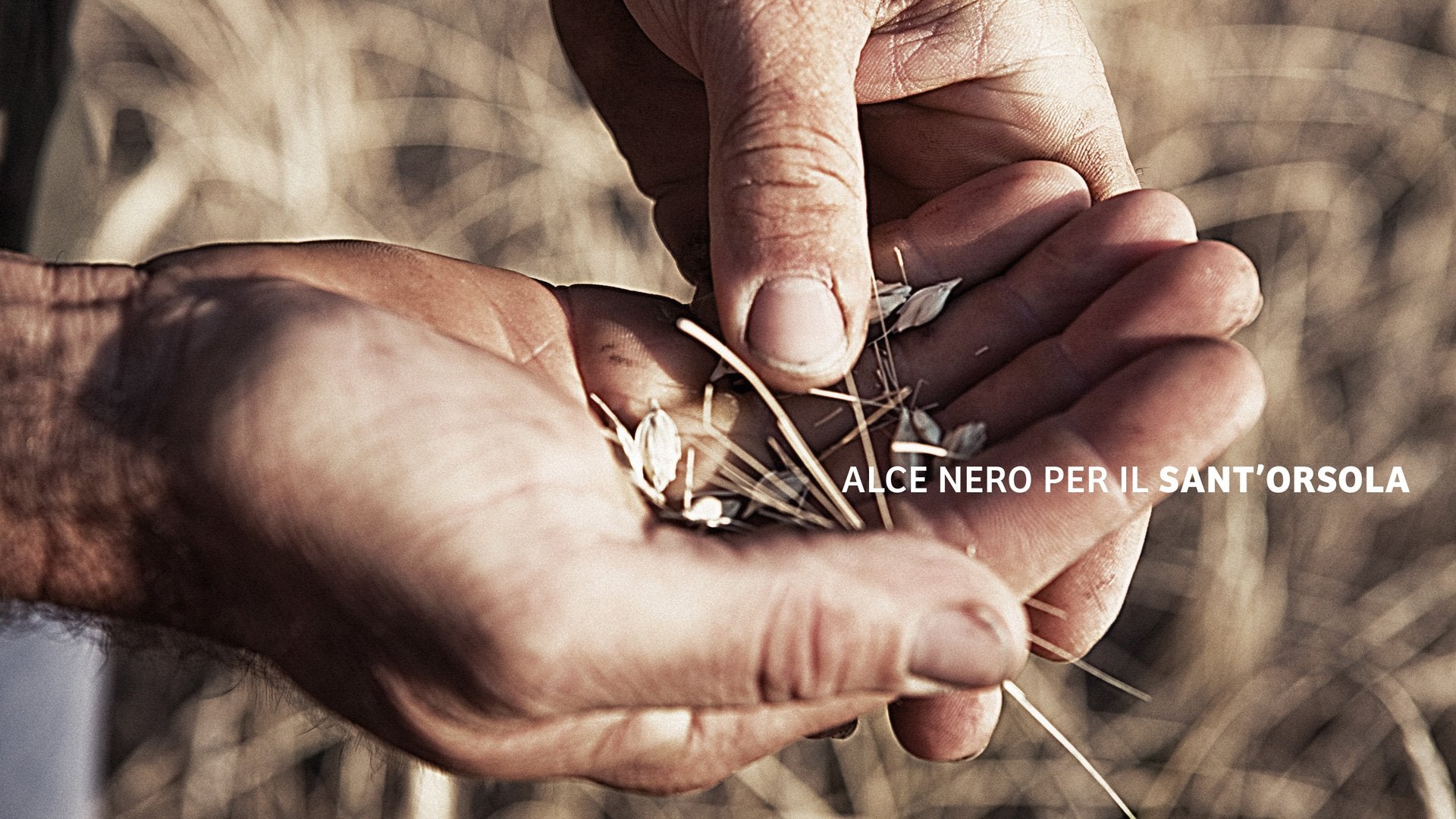 Alce Nero for Ospedale Sant’Orsola