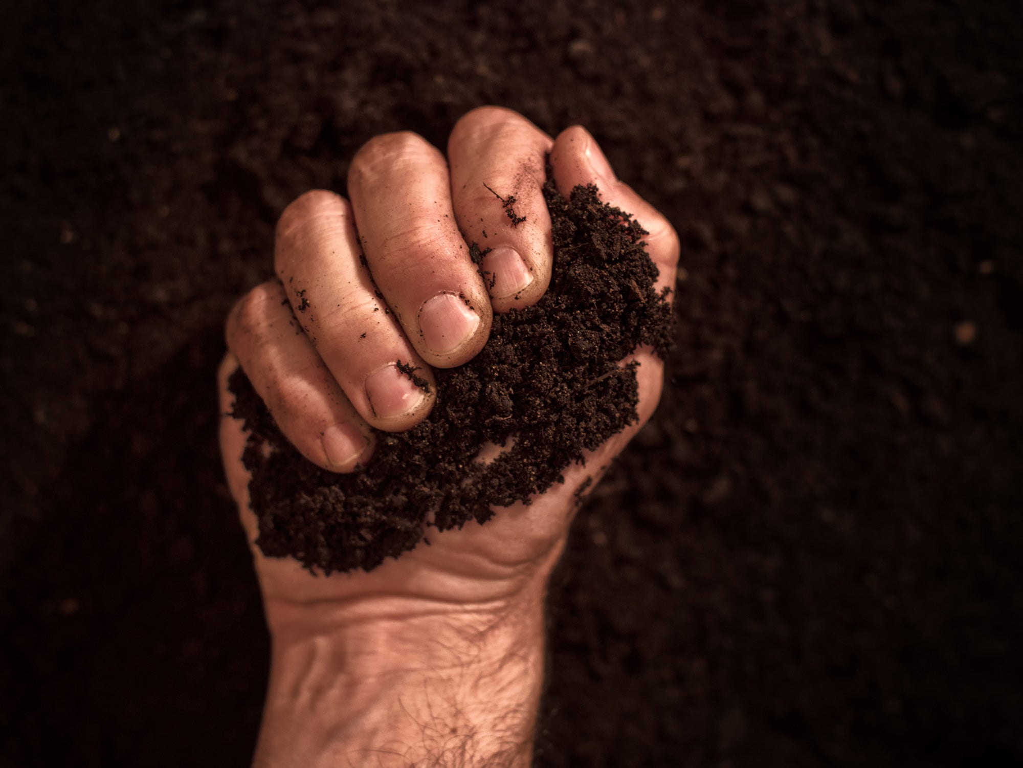 Land grabbing: a hunger for awareness