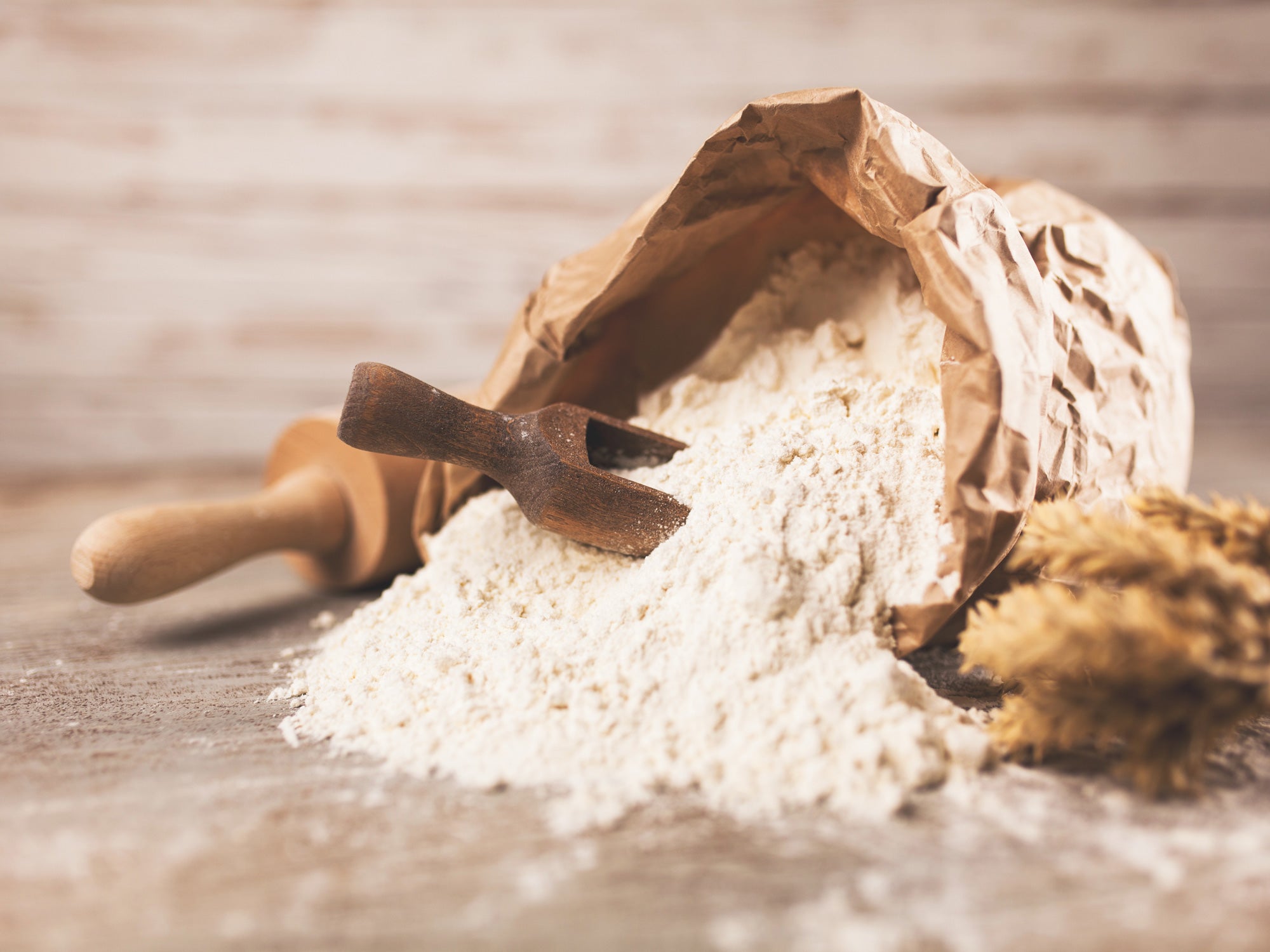 Types of flour, their differences and features: which to choose?