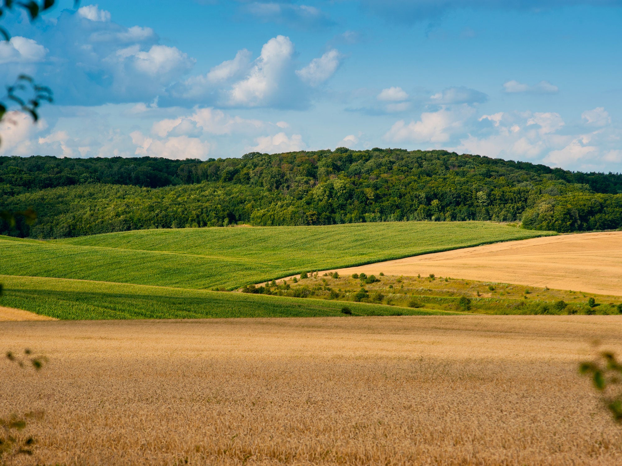 What is ecological transition?