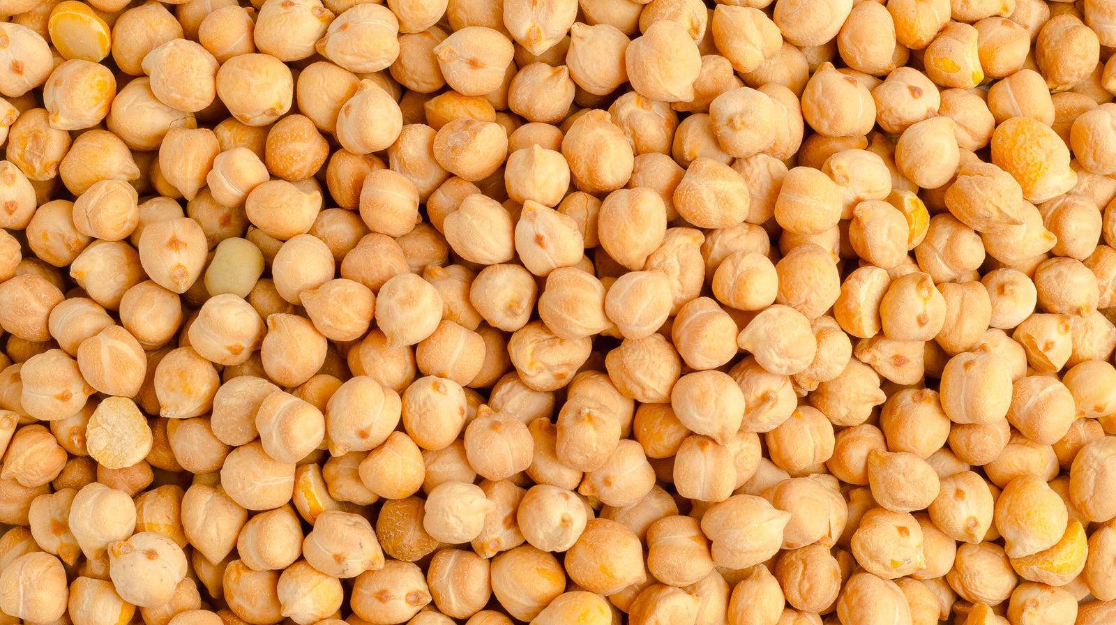 Legumes. Growing them protects the climate and increases the nutrients in cereals produced in rotation on the same land