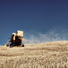 Load image into Gallery viewer, Organic stone ground soft wheat flour type &quot;2&quot; - FA851
