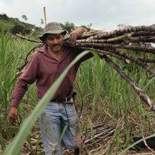 Load image into Gallery viewer, Organic Demerara sugar - ZU500D
