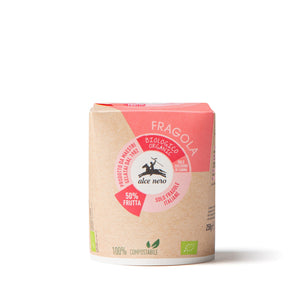 Organic strawberry sorbet - GEFR250