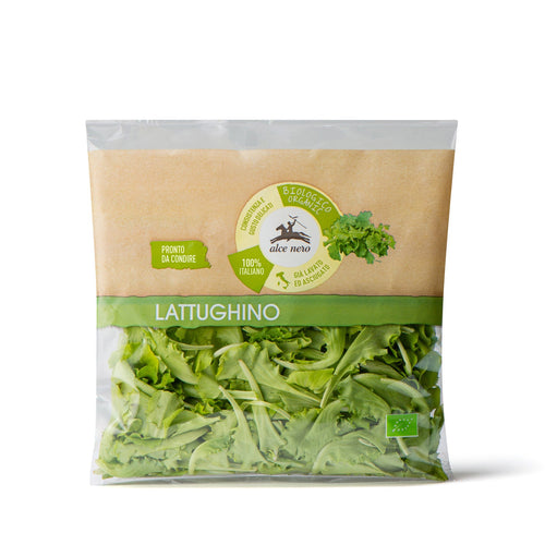 Organic baby lettuce - LAT080